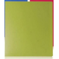 Letter Size 24 Page Presentation Book with Neon Green Cover
